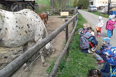 Obrázek č.21